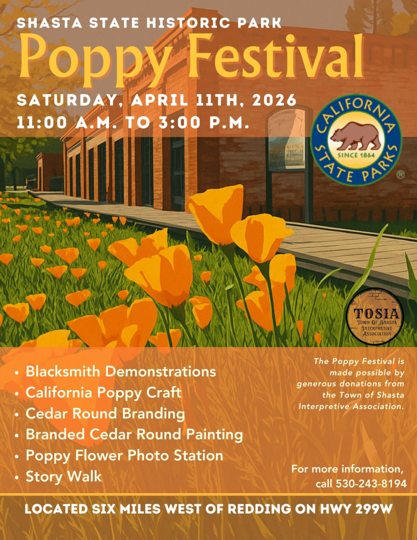 Volunteer Info Hours - Turtle Bay